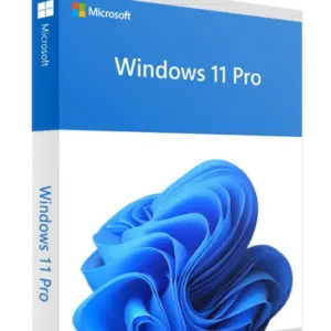 Windows_11_Pro_transparant