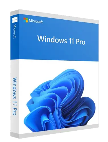 Windows_11_Pro_transparant
